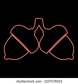 Neon two acorn red color vector illustration image flat style light