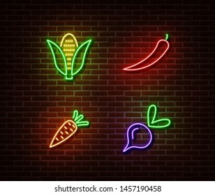 Neon vegetables signs vector isolated on brick wall. Corn, chilli pepper, carrot, beetroot light symbol, decoration effect. Neon nature fruits illustration.