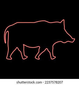 Neon wild boar Wild pig Hog Warthog red color vector illustration image flat style light