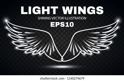 Neon Wings. Fire and Flame. Transparent Light Design. Vector illustration