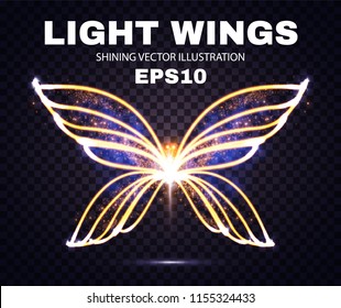 Neon Wings. Fire and Flame. Transparent Light Design. Vector illustration