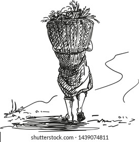 Nepalese woman carries basket on her head in traditional way, View from back, Hand drawn illustration