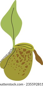 Nepenthes Ampullaria Carnifresser-Pflanze, Vektorgrafik auf isoliertem weißem Hintergrund