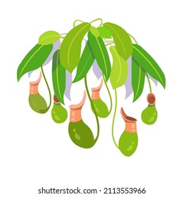 Nepenthes exotic flower predator in tropical forests. Nature flora on planet. Cartoon vector illustration.