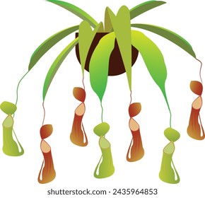 Nepenthes is a genus of carnivorous plants, also known as tropical pitcher plants, or monkey cups, in the monotypic family Nepenthaceae. 