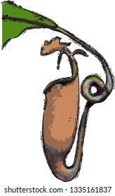 Nepenthes, also known as tropical pitcher plants, is a genus of carnivorous plants in the monotypic family Nepenthaceae. 