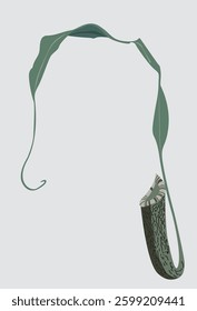 Nepenthes plant vector illustration with leaf