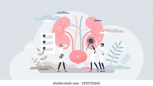 Nephrologist As Kidney And Bladder Professional Doctor Tiny Person Concept. Nephrology As Inner Organs Occupation And Health Care For Patient Diseases Treatment Cure And Diagnosis Vector Illustration.