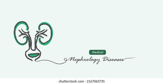 Nephrology Is The Adult And Pediatric Study Of The Kidneys And Its Diseases