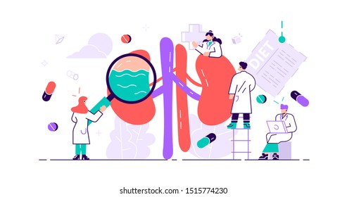 Nephrology concept. Abstract anatomical and medical inner organs disease treatment. Tiny kidney healthcare persons. Pharmacy research system and educational physiology study. Flat vector illustration