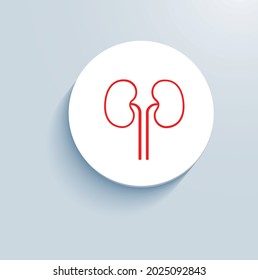 Nephrology Medical Care Icon Vector Design