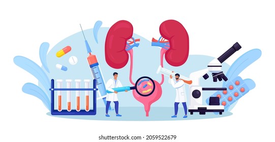 Nephrology, urology. Urinary Tract Infection, UTI Medical Concept. Two doctors check and treat bladder and kidneys. Kidney endoscopy, examination, partial nephrectomy. Vector illustration
