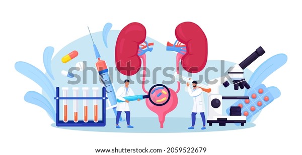 Nephrology,\
urology. Urinary Tract Infection, UTI Medical Concept. Two doctors\
check and treat bladder and kidneys. Kidney endoscopy, examination,\
partial nephrectomy. Vector\
illustration