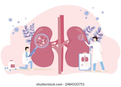 Nephrology vector illustration. The doctor examines and diagnoses urinary tract disease. kidney failure, kidney stones, Medical concept.