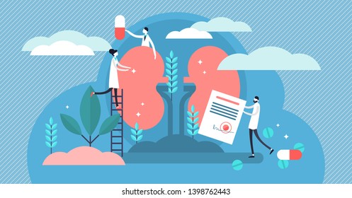 Nephrology Vector Illustration. Flat Tiny Kidney Healthcare Persons Concept. Abstract Anatomical And Medical Inner Organs Disease Treatment. Pharmacy Research System And Educational Physiology Study.