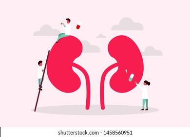 Nephrology vector illustration. Flat tiny kidney healthcare persons concept for web landing page template, banner, infographic and presentation