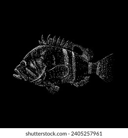 neptune grouper hand drawing vector isolated on black background.