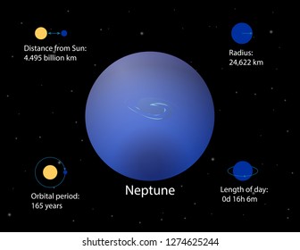 Neptune Infographics Vector Planets Solar System Stock Vector (Royalty ...