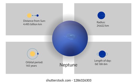 Neptune infographics vector. Planets of the Solar System vector illustration