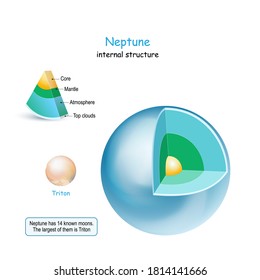 Neptune  internal structure. cross section of planet from core to mantle and crust. Triton is Moon of Neptune. Solar system. infographics. vector diagram. Easy to edit