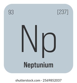 Neptunium, Np, periodic table element with name, symbol, atomic number and weight. Synthetic radioactive element with potential uses in scientific research and nuclear power.