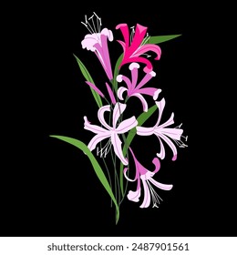 Nerine flower and leaves branch, spider lily vector isolated on black background, for design and decor, cover, logo, prints, stickers, card, poster