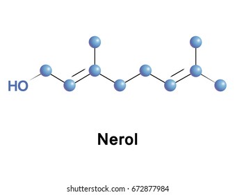 Nerol is a monoterpene found in many essential oils such as lemongrass and hops