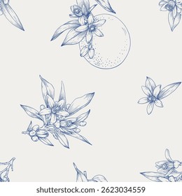 Neroli floral seamless pattern,flowering twigs orange fruit. Hand drawn Citrus flowers branch. Blue beige Toile vector botanical illustration for design cosmetic, perfumery, package. Medicinal plant