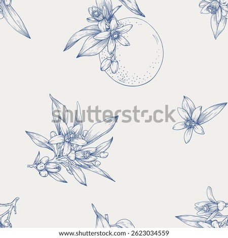 Neroli floral seamless pattern,flowering twigs orange fruit. Hand drawn Citrus flowers branch. Blue beige Toile vector botanical illustration for design cosmetic, perfumery, package. Medicinal plant