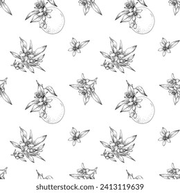 Neroli flowers bouquet and orange Vector seamless pattern. Citrus flowers branch. Hand drawn botanical illustration. Cosmetic, perfumery and medicinal plant