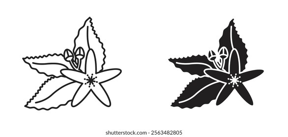 Neroli icons in outline and fill. vector illustration for ui.
