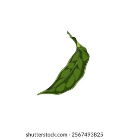 Neroli leaf vector sketch in green color on isolated background. Illustration of natural and botanical element, suitable for decor and minimalist designs.