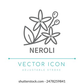 Neroli Orange Flower Scent Line Icon, Food Flavor Symbol, Candle and Soap Fragrance Vector Symbol, Cosmetics Perfume Ingredient Logo Label 