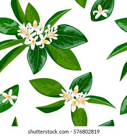 Neroli theme. fleur d'orange, Seamless pattern vector flowers and leaves. Bright and vivid. for decoration, cosmetics, prints, textile, banners, textile,