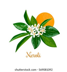 Neroli, twig, flowers and bitter orange. Nature. Vector. Design for essential oil, natural cosmetics, health care products, aromatherapy, homeopathy. For prints, poster, logo, tag, label, textile,