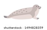 Nerpa flat vector illustration. Baikal seal minimalist drawing isolated on white background. Marine mammal side view. Pinniped endemic carnivore. Funny common seal, Pusa species clipart.