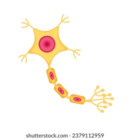 Modelo de célula nerviosa aislado en un fondo blanco. Concepto de medicina y ciencia. Para anuncios sobre atención médica. Ilustración vectorial de icono 3D.
