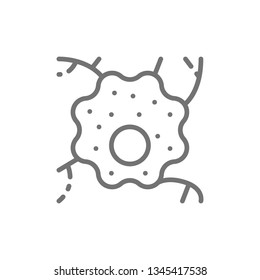 Nerve Cell, Neuron, Human Anatomy Line Icon.