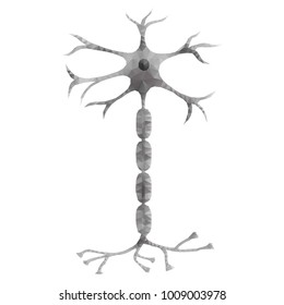 Nerve cell neuron, isolated on white backdrop, low poly polygon design. Polygonal triangle style illustration of human brain for medical design, study or concept for logo, scientific background.