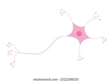 Nerve cells illustration of human being 
