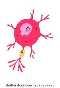 Nerve Human Cell Vector Illustration