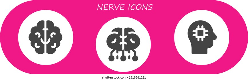 nerve icon set. 3 filled nerve icons.  Simple modern icons about  - Brain