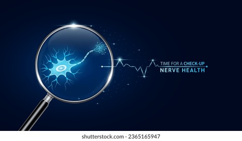 Nerve inside magnifying glass with scan search. Health care medical check up too innovative futuristic digital technology. Body health checkup examining organ and blue glowing neon heart pulse. Vector