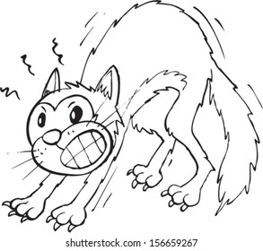 Nervous Cat