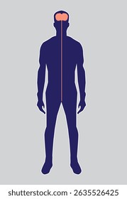 Sistema nervioso y cerebro en la figura del hombre