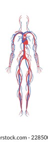 Nervous system flat icon Human anatomy. Vector illustration