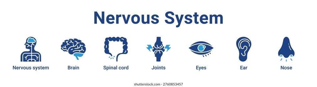 Nervous System icon banner and collection