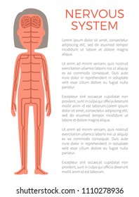 Nervous system poster and text sample with title, brain neuron impulses in human body, woman with internal organs isolated on vector illustration