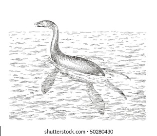 Nessy vector