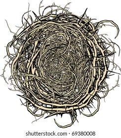 Nest